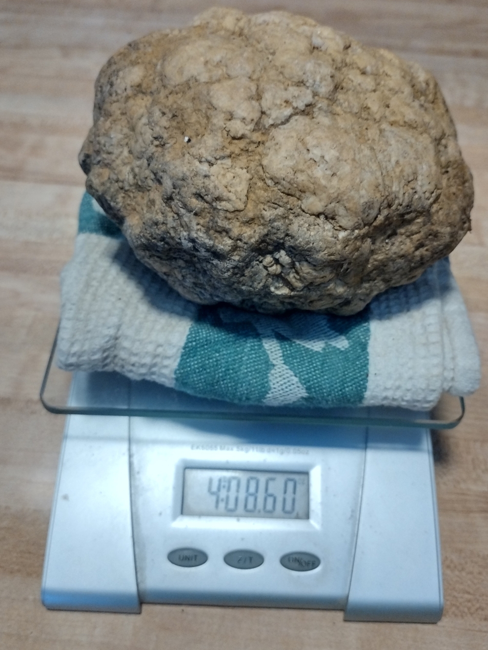 4.8 lb Unopened Geode Monroe County Indiana Raw Uncracked Crystal Rock Specimen